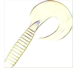 Lamprey
