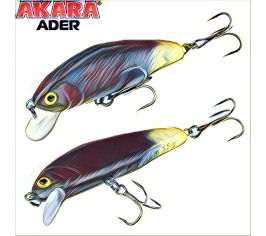 Ader 55s