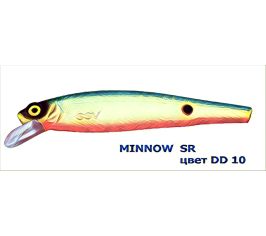 Minnow sr ssv-msr