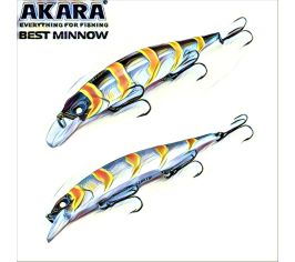Best minnow 100sp