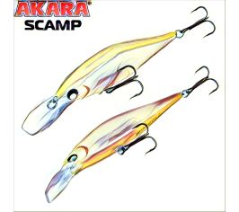 Scamp 95f