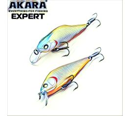 Expert 70f