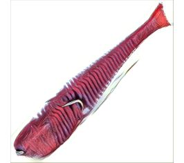 Lex air classic fish 10